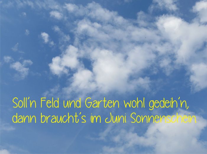 Vom Junihimmel und himmelblauen Kaffeetässchen - Die Zitronenfalterin